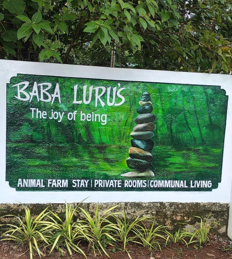 Апартаменты Baba Luru'S Варкала Экстерьер фото